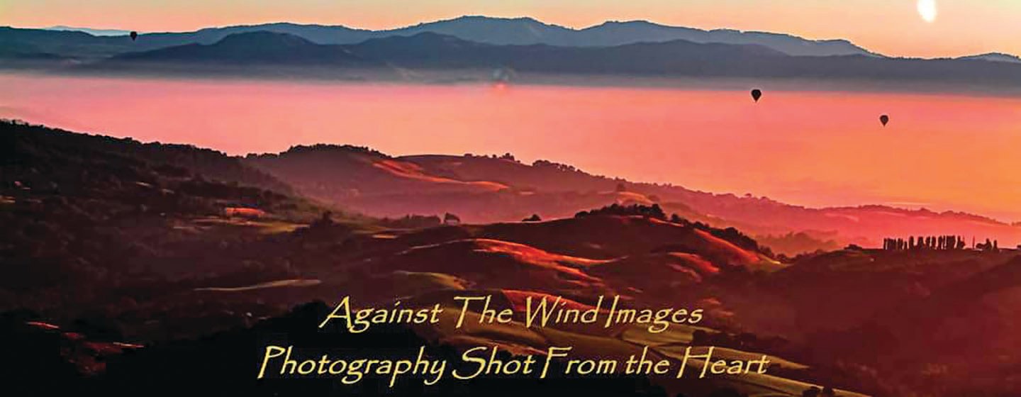 Picture taken by Julio DeCastro named Against the Wind Images.